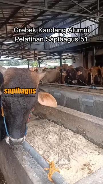 Bina-Farm